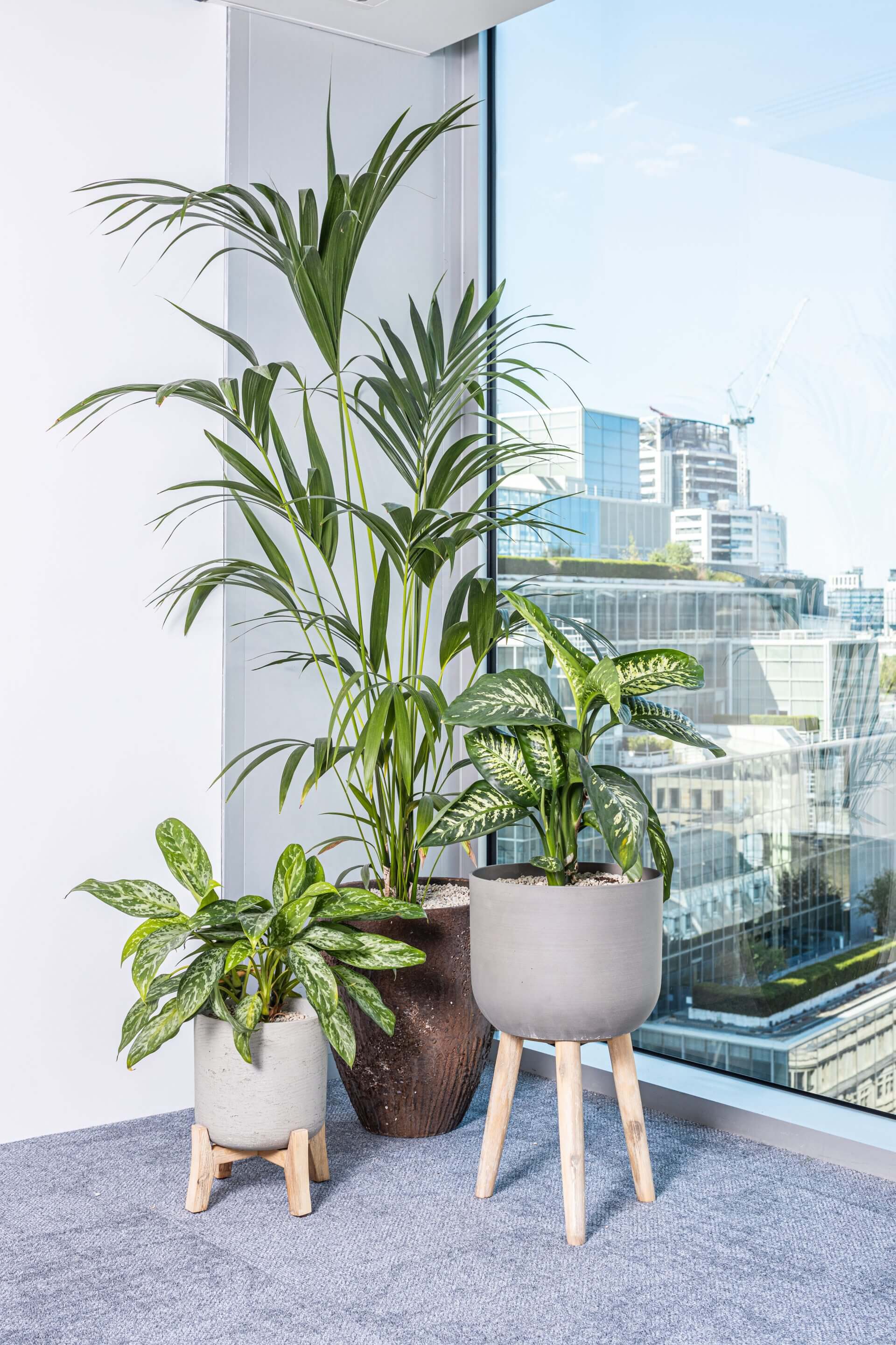 Planting and pots at Endava, London by Planteria