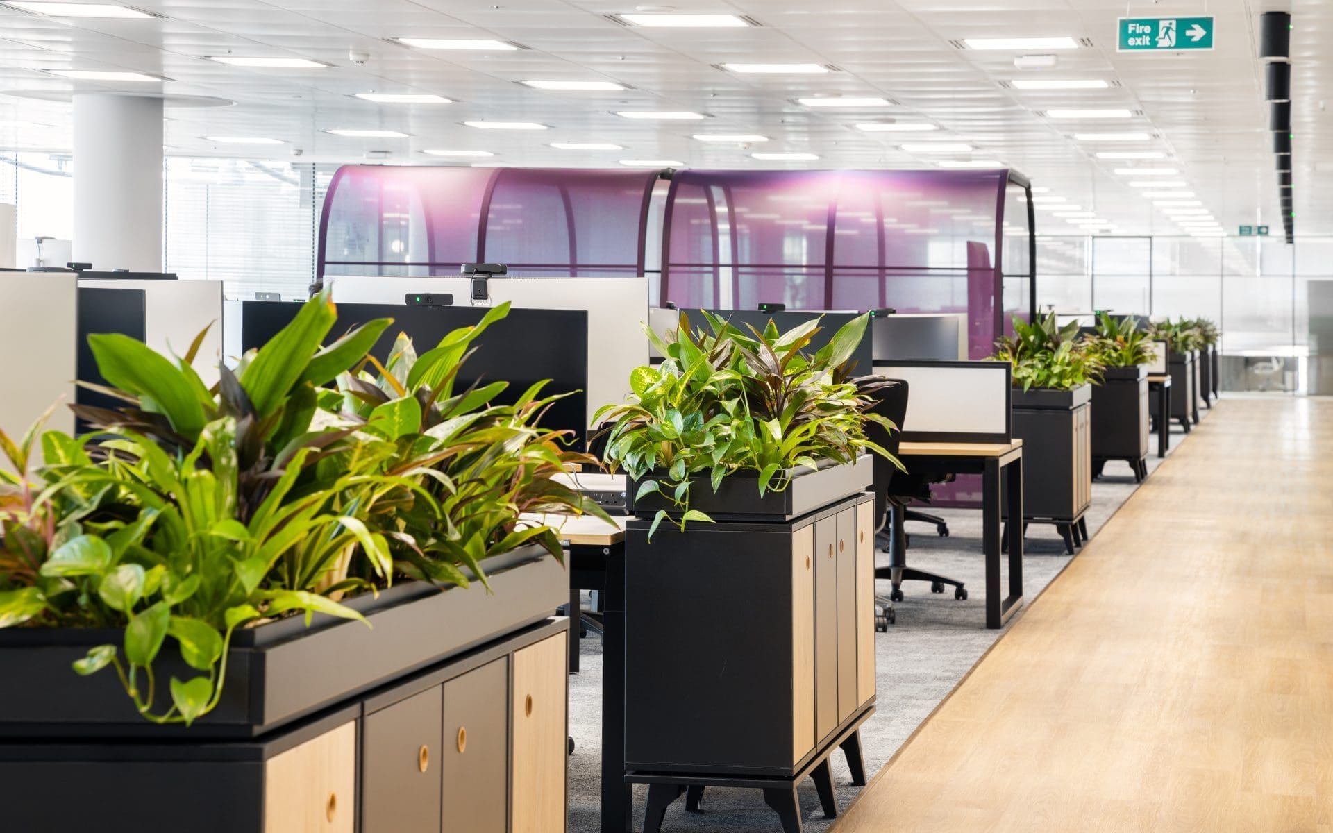 Cabinet top troughs in the beautiful experian office