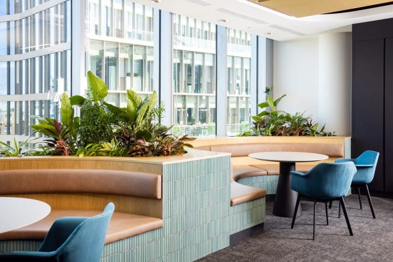 Planteria group