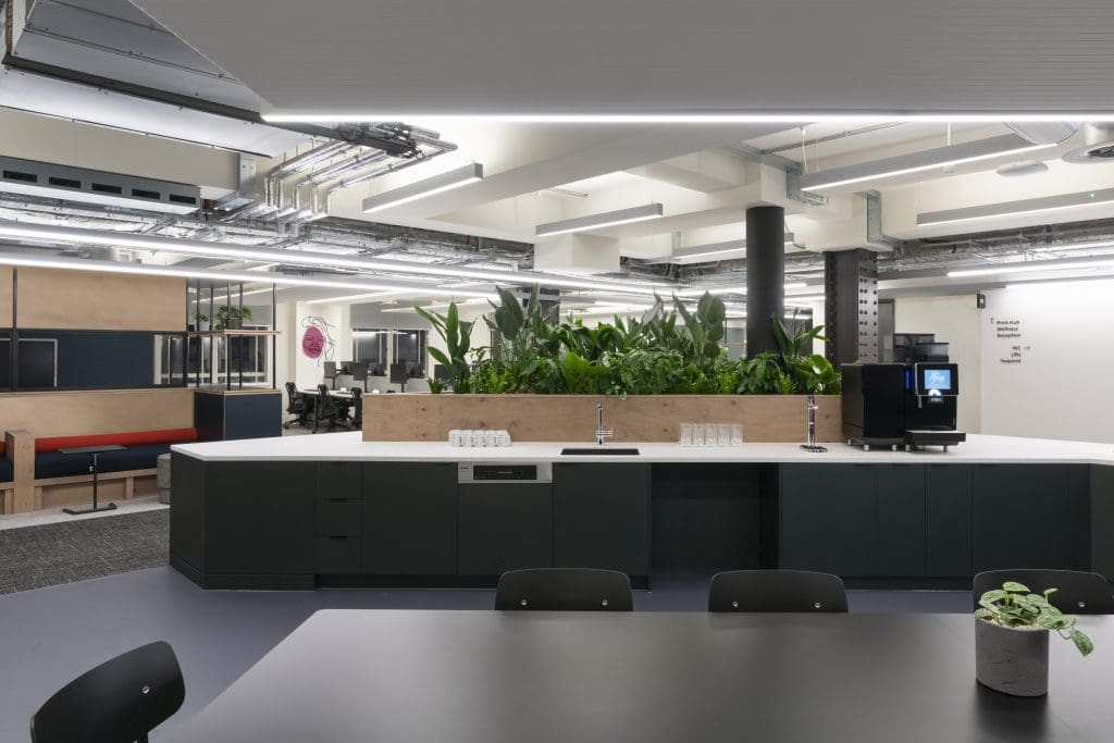 Planteria group