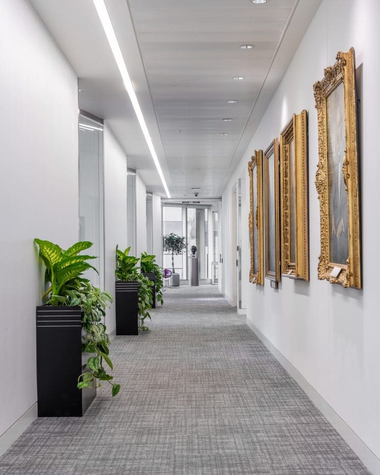 Planteria group