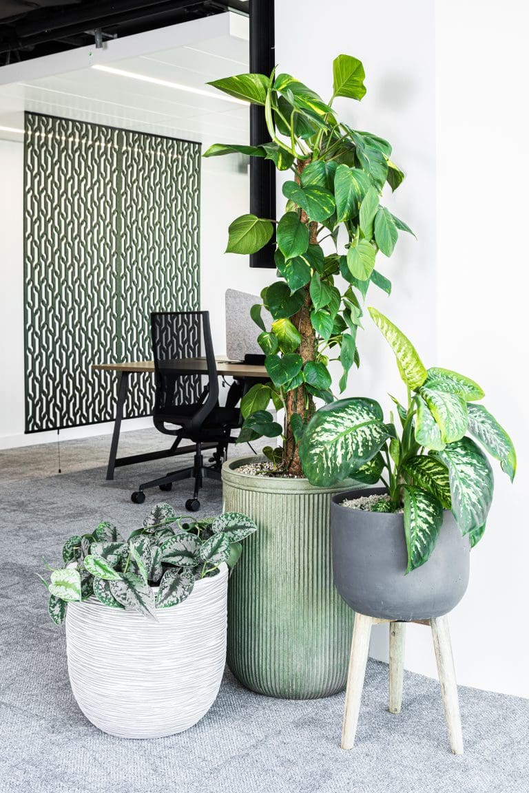 Planteria group