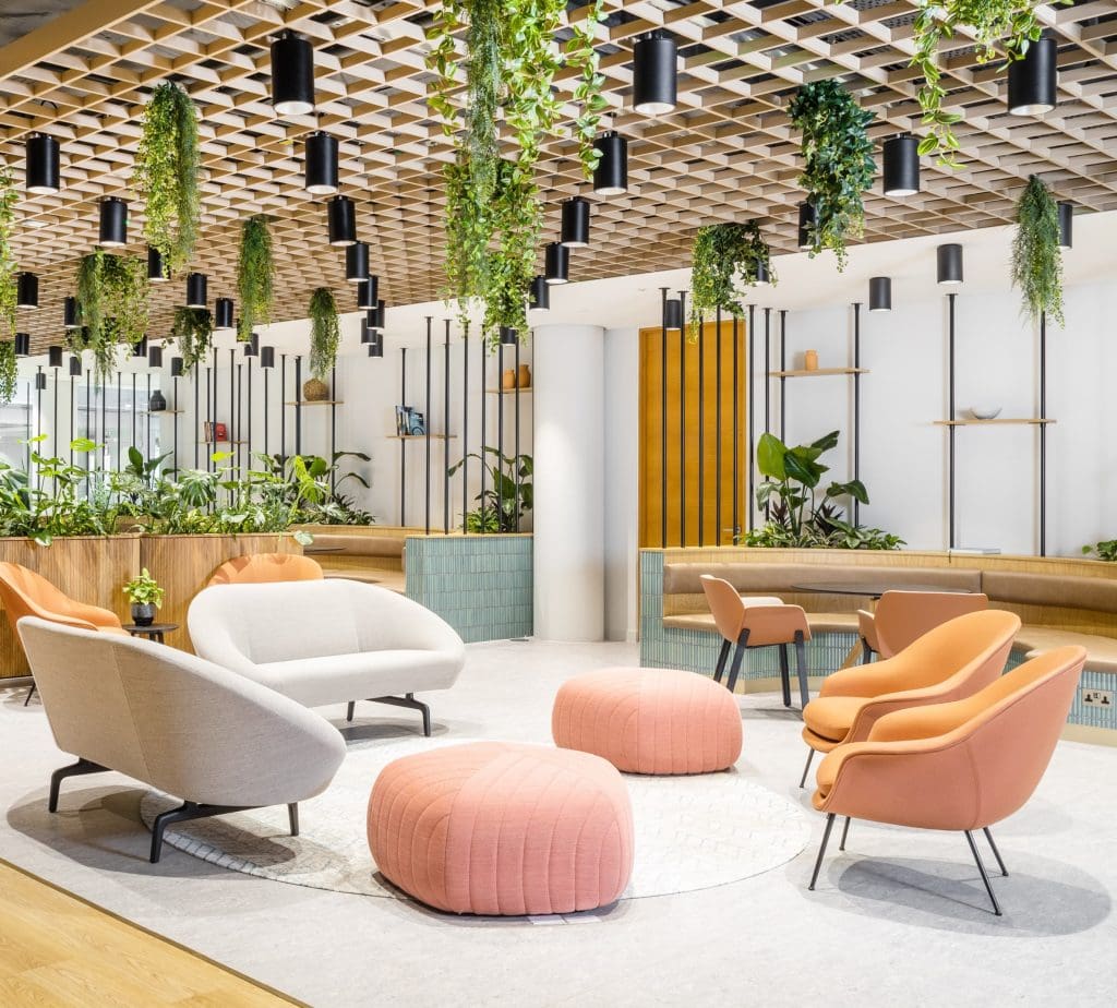 A break out area at experians london office. Hanging planting and more