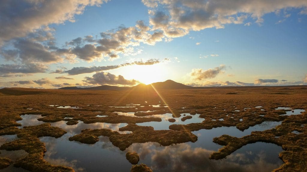 Sunset over a uk peat field - home to a host of wildlife and carbon storage.