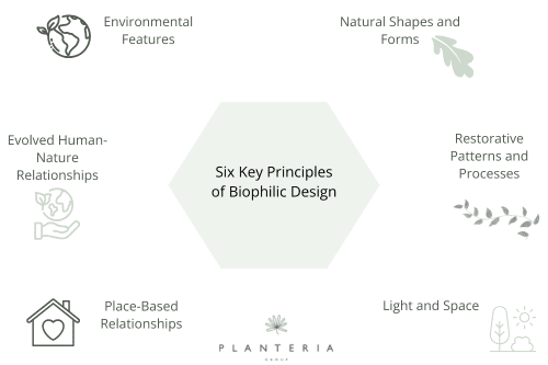 Planteria group