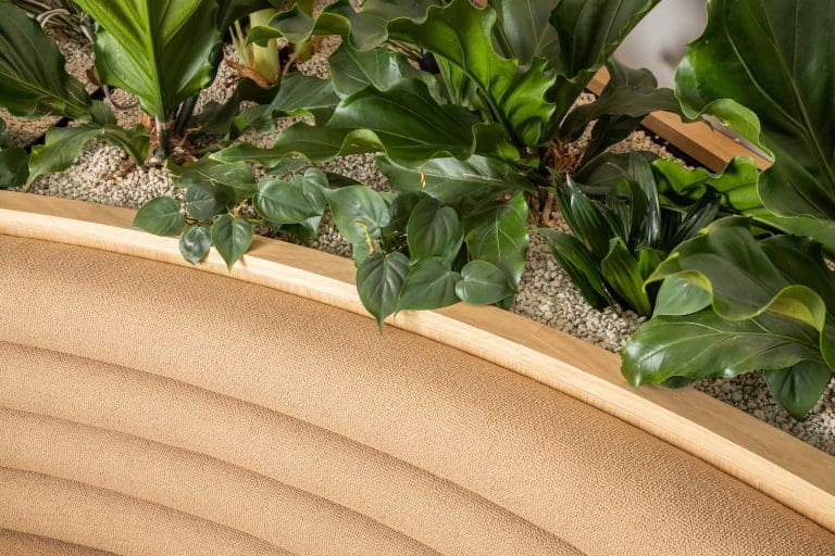 Planteria group