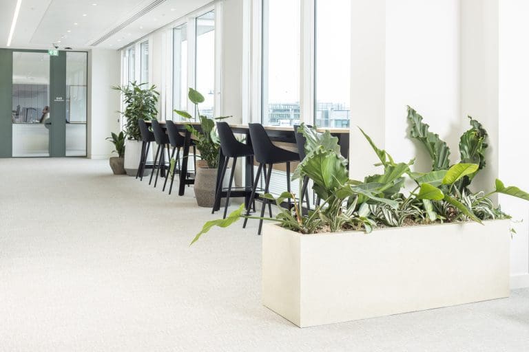 Planteria group
