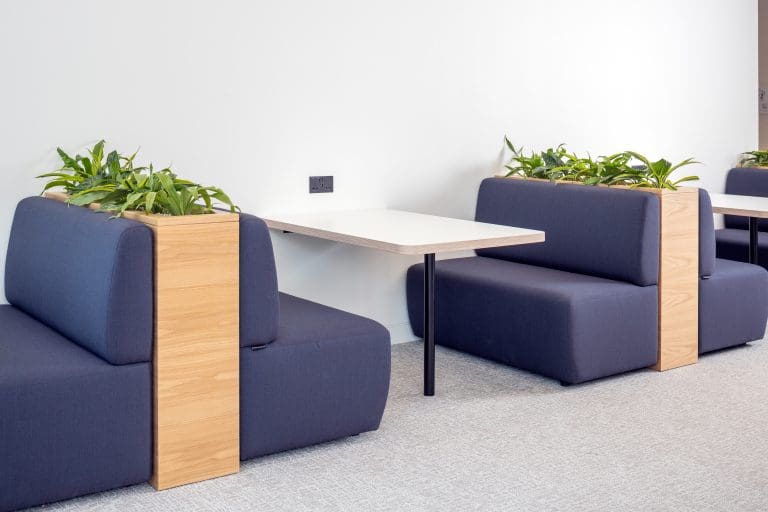 Planteria group