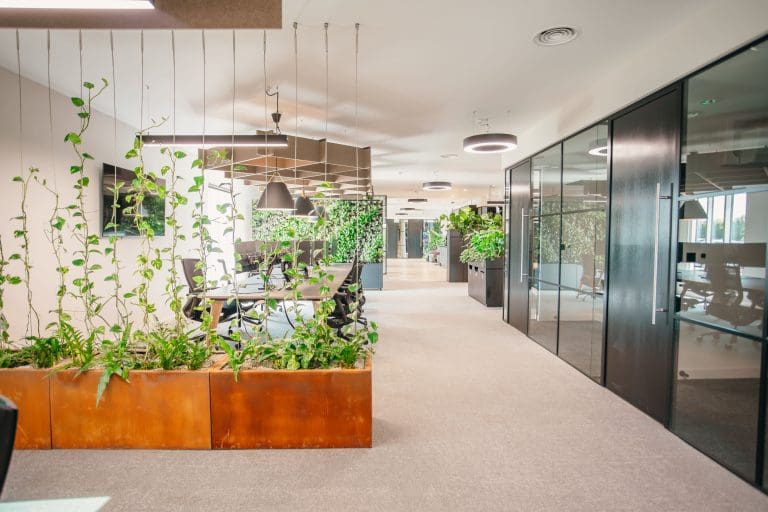 Planteria group