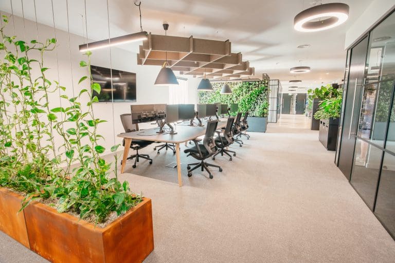 Planteria group
