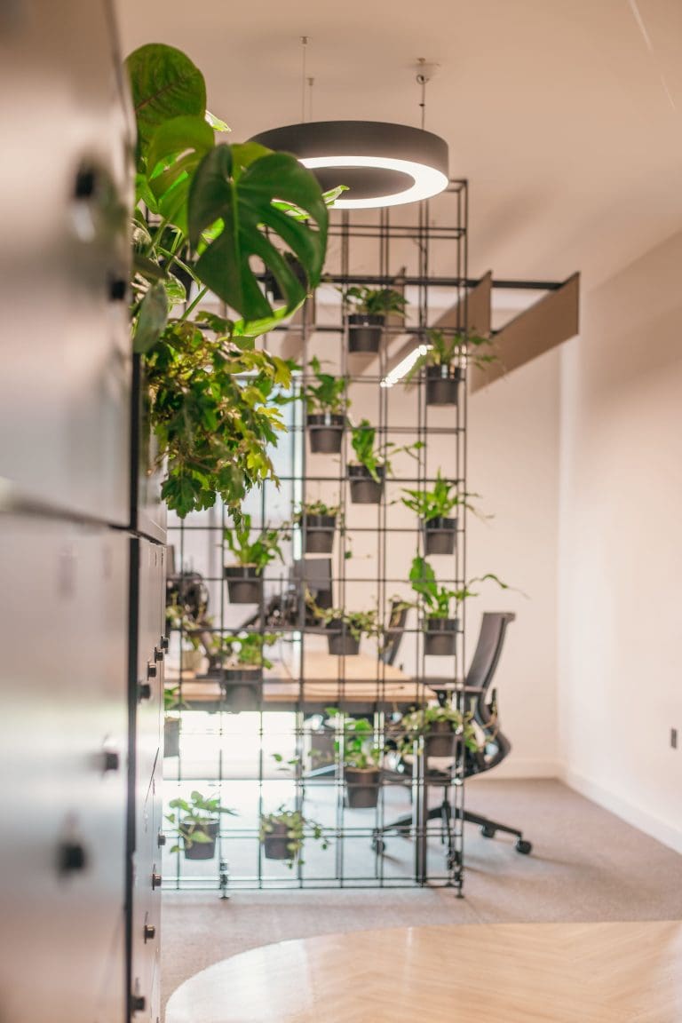 Planteria group