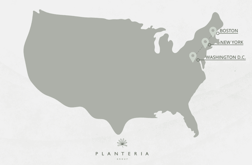 Planteria group