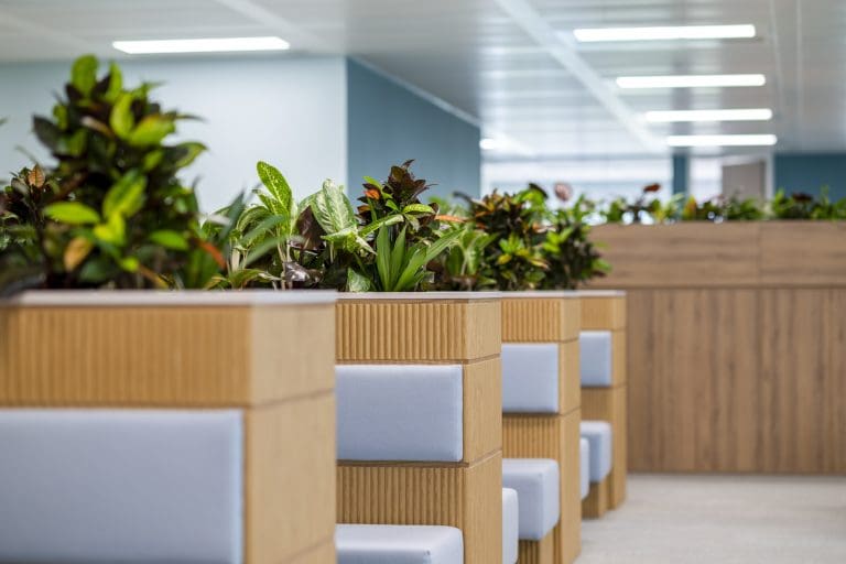 A row of plants in a room