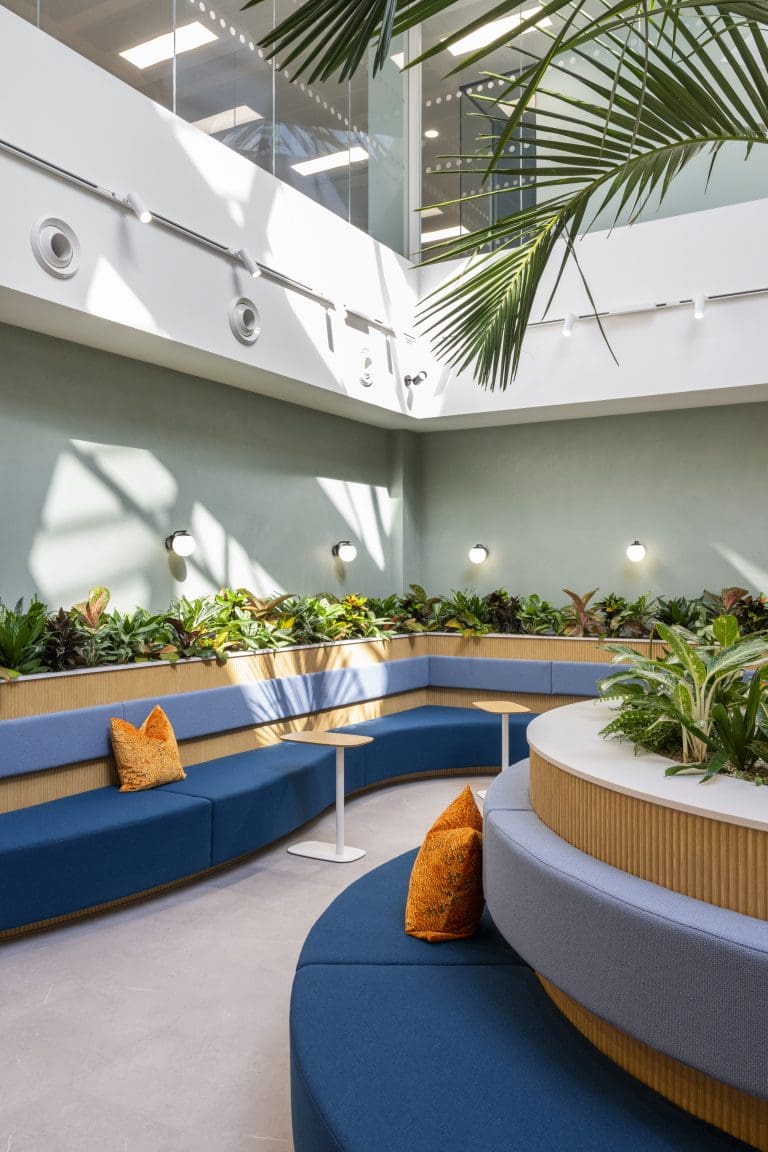 A room with a plant and a bench