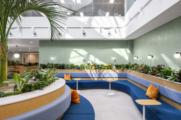 A room with a plant and a bench