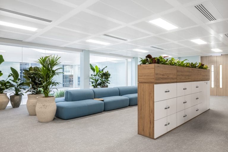 A room with a couch and plants