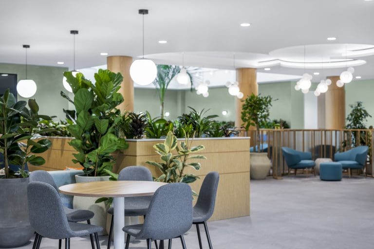 A room with a table and chairs and plants