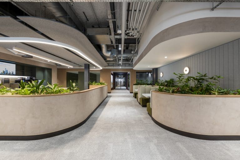 Planteria group