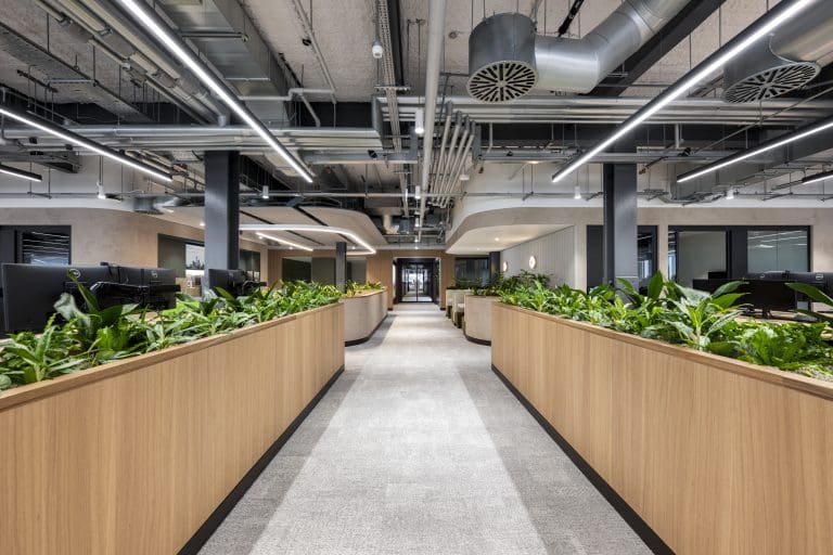 Planteria group