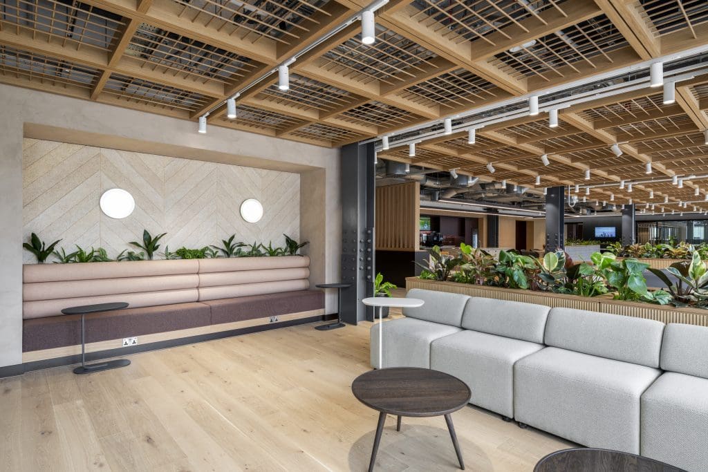 Bright office breakout space with sofas and timber ceiling detail.