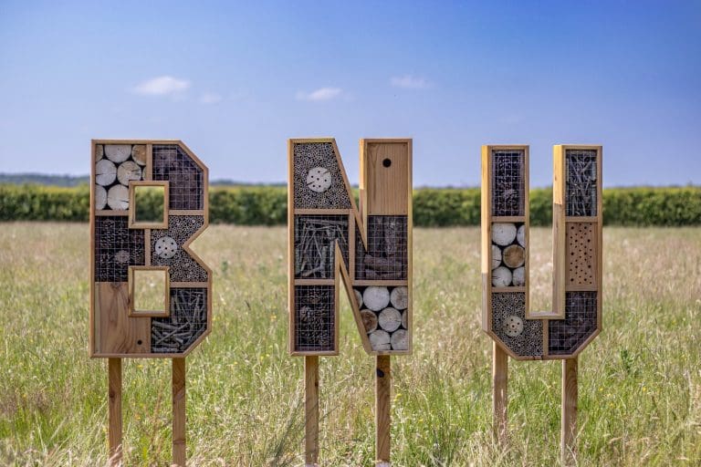 Outdoor installation of pollinator habitat letters spelling "bnu," placed in a grassy field, each filled with bamboo and drilled logs.
