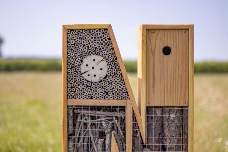 Pollinator habitat letter "n" standing in a field, filled with cross-sectioned logs, drilled wood, and hollow stems.