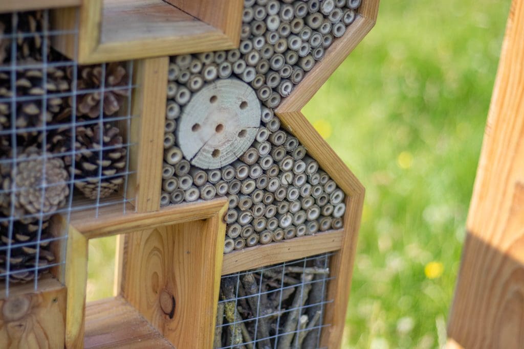 Angled close-up of a pollinator habitat corner, highlighting drilled wooden discs, bamboo sections, and overlapping wooden frames.