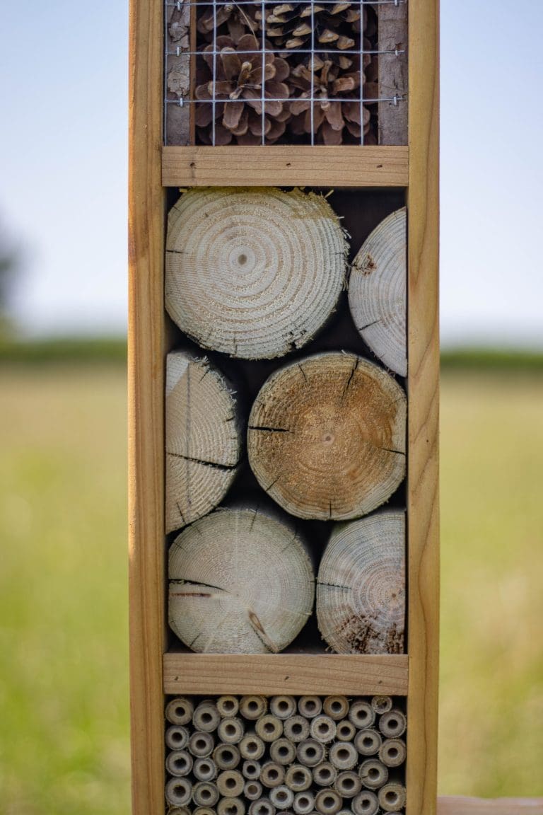 Angled close-up of a pollinator habitat corner, highlighting drilled wooden discs, bamboo sections, and overlapping wooden frames.