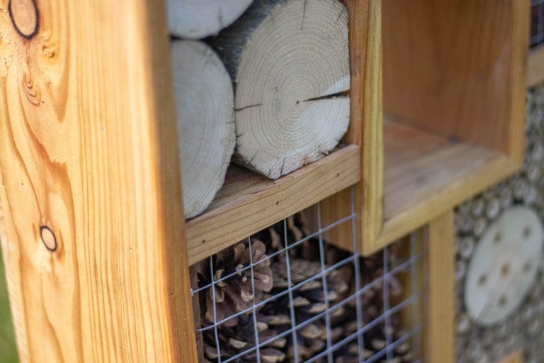 Close-up of a pollinator habitat section showing circular cross-sections of logs with drilled holes framed in wood.