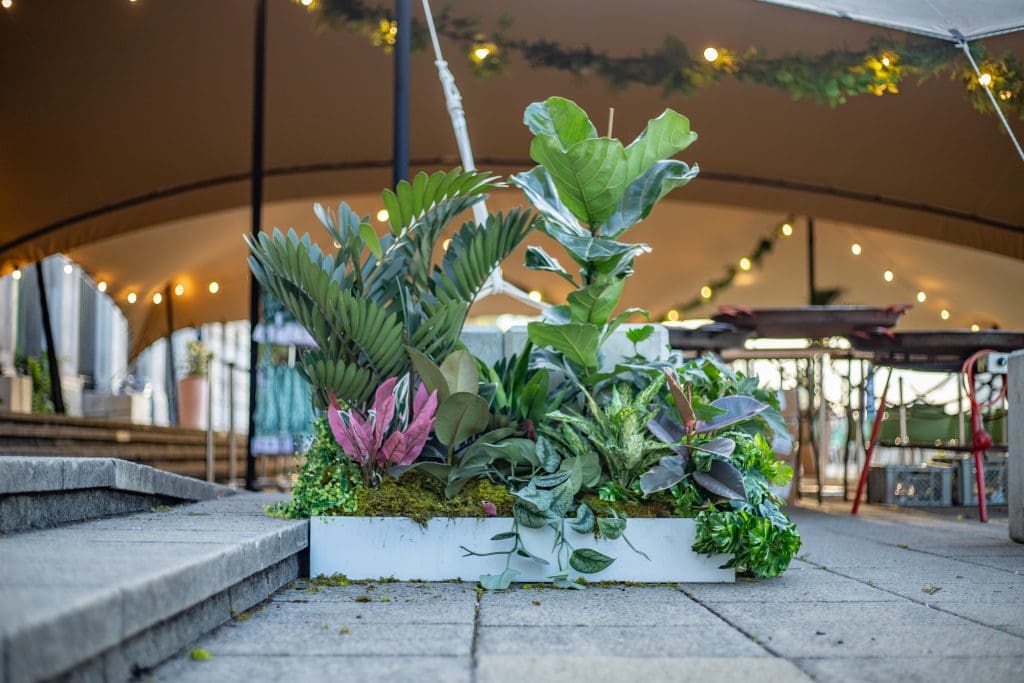 White rectangular planter filled with tropical greenery under cbre marquee.