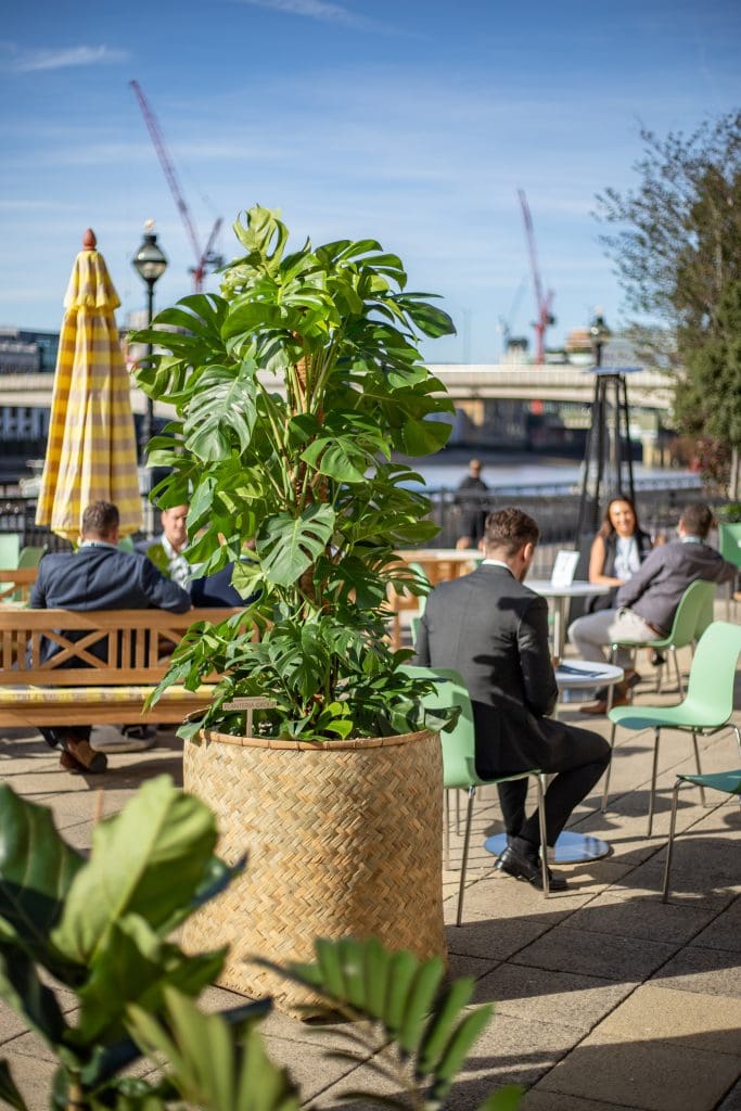 Outdoor cbre terrace with striped parasol, tables, and lush plant displays.