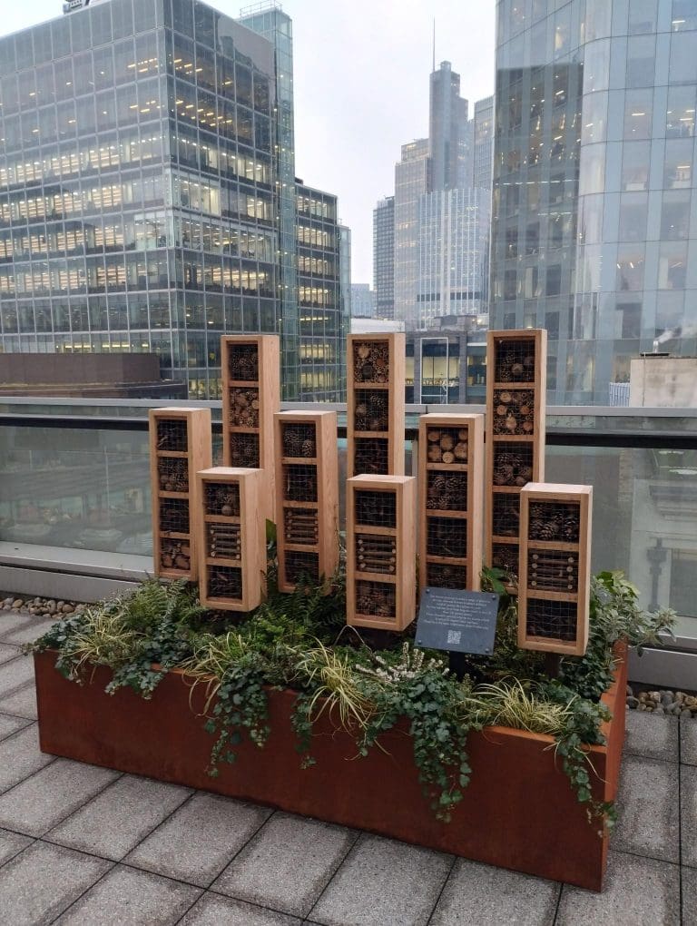 Rooftop terrace with large freestanding pollinator habitat letters mounted in planters with green plants.