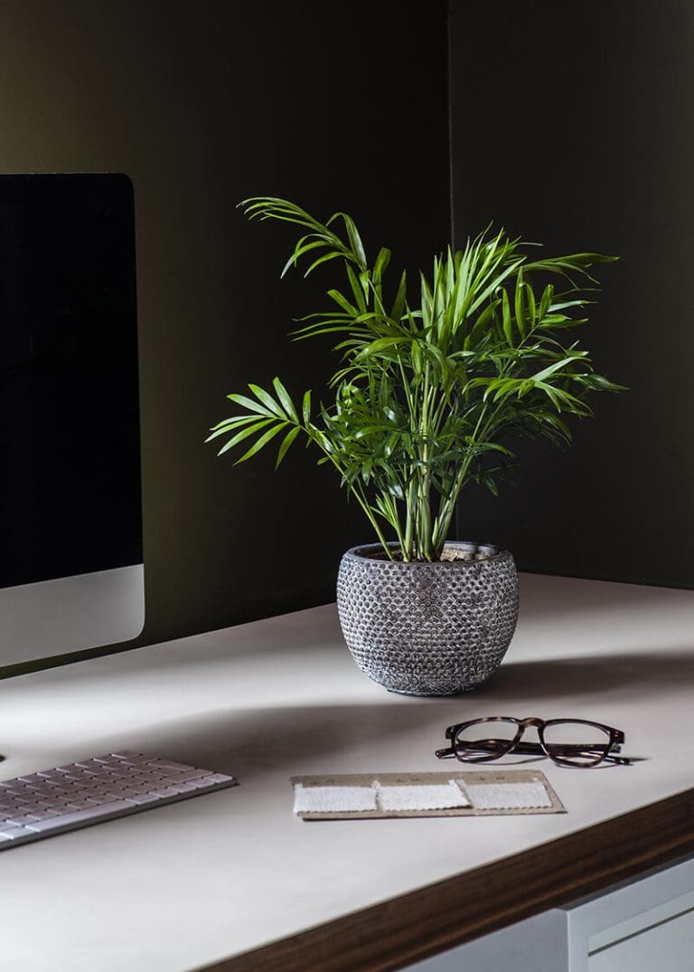 Planteria group