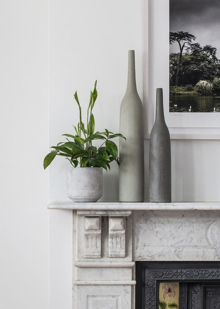 Planteria group