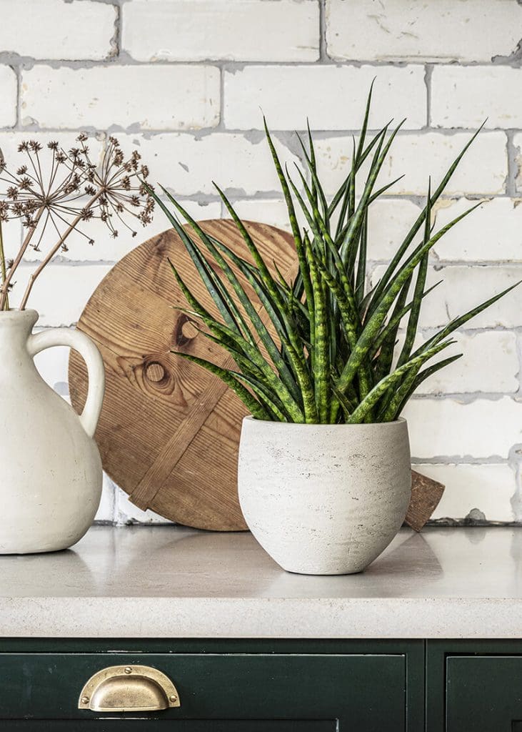 Planteria group