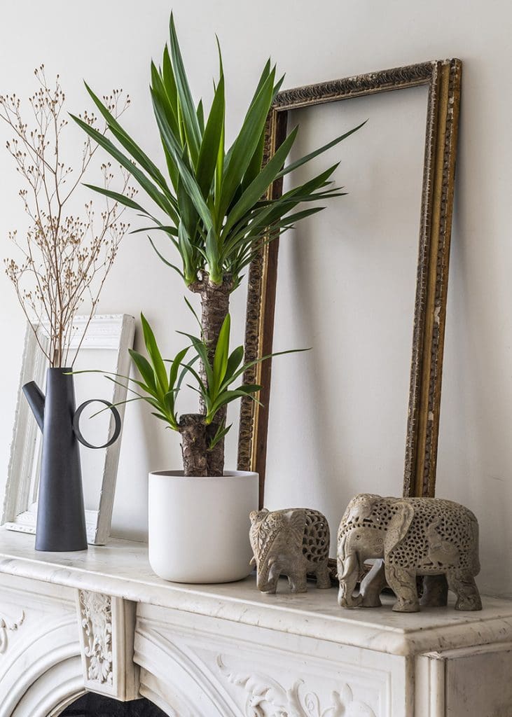 Planteria group