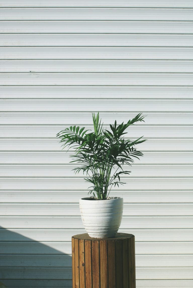Planteria group