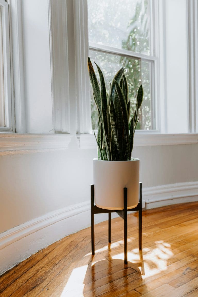 Planteria group