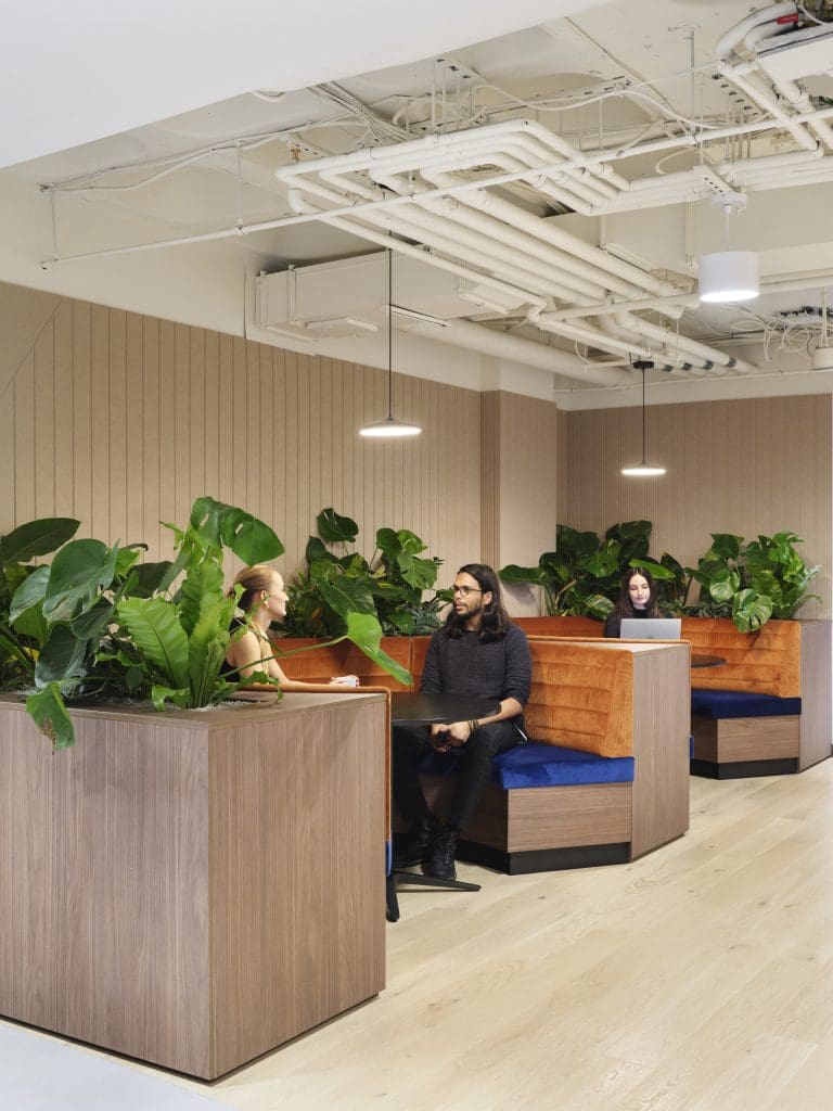 Planteria group