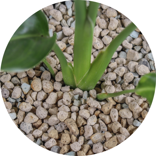 Sustainability at Planteria 6 1