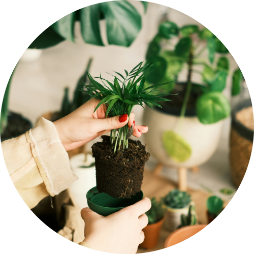 Sustainability at Planteria 5 3