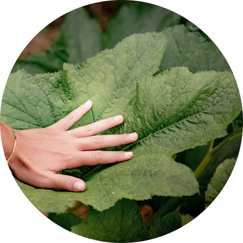 Sustainability at Planteria 9 4