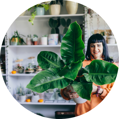 Sustainability at Planteria 7 6