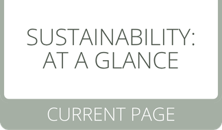 Planteria group