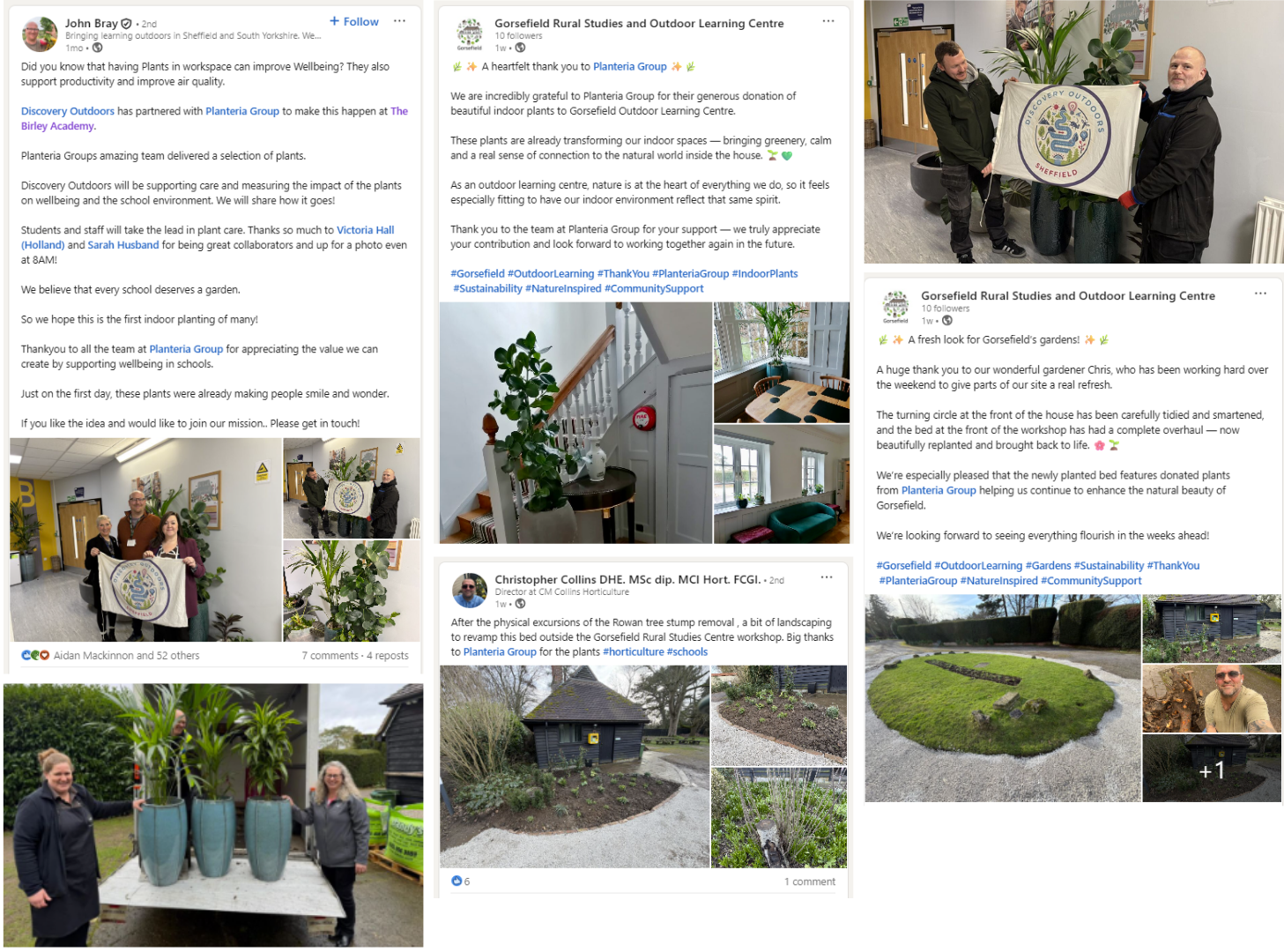 Planteria group