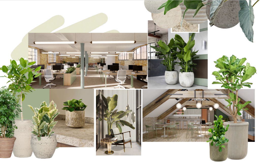 Planteria group